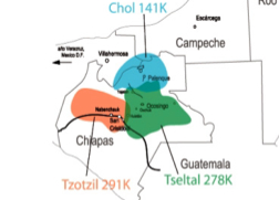 Mapa lingüístico que muestra los tres mayores grupos lingüísticos de Chiapas.