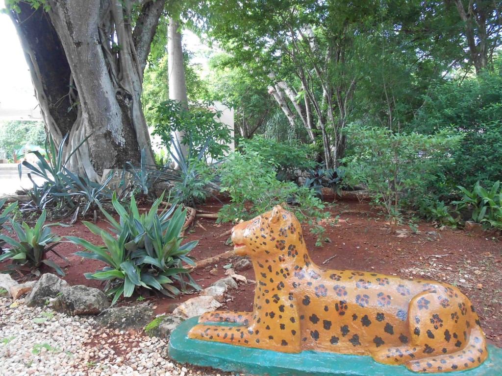 Besides the nature walk, medicinal plants, and a beautiful cenote, they have a pet yellow jaguar!