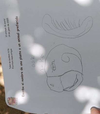 A drawing on a paper

Description automatically generated