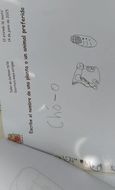 A paper with writing on it

Description automatically generated