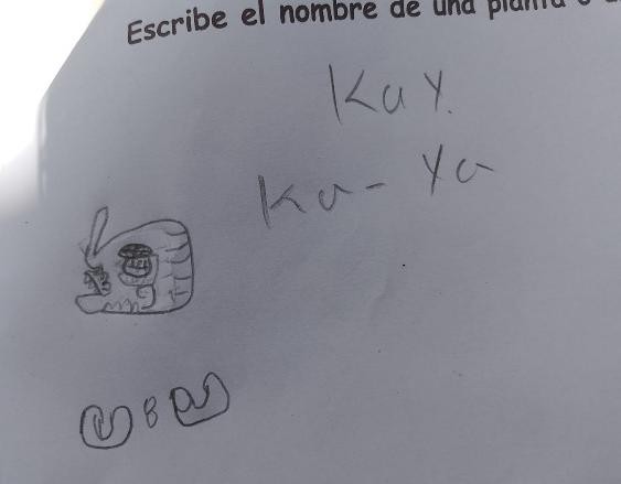 A piece of paper with writing on it

Description automatically generated