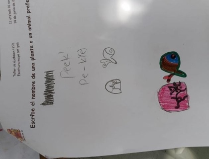 A white paper with writing on it

Description automatically generated